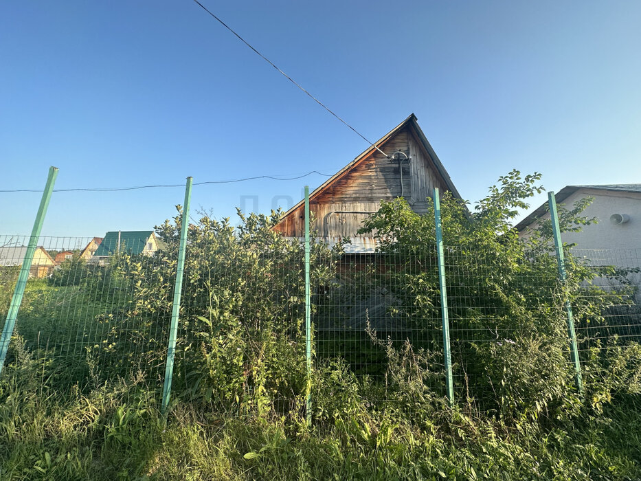 г. Среднеуральск, СНТ № 5 Профкома СУГРЭС, уч. 75 (городской округ Среднеуральск) - фото сада (15)