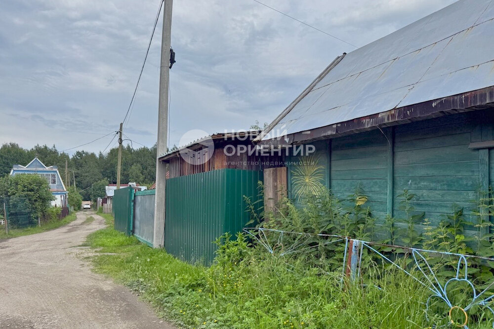 Екатеринбург, СНТ Путевка, уч. 24 - фото сада (15)