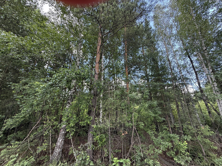 г. Березовский, коллективный сад № 78 (городской округ Березовский) - фото сада (10)