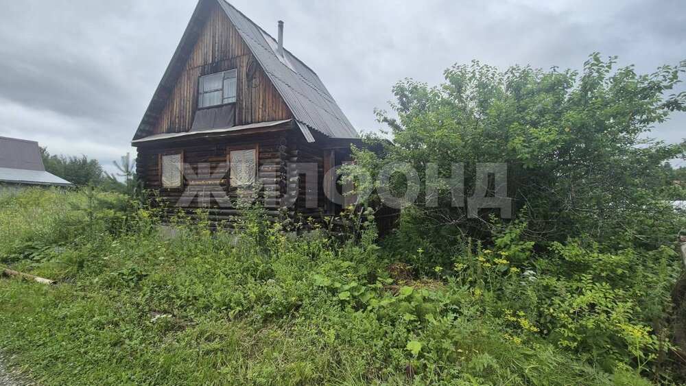 г. Нижний Тагил, 1-я (СТ Дружба) (городской округ Нижний Тагил) - фото сада (1)