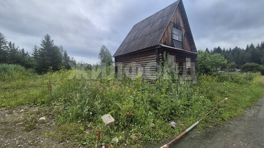 г. Нижний Тагил, 1-я (СТ Дружба) (городской округ Нижний Тагил) - фото сада (3)