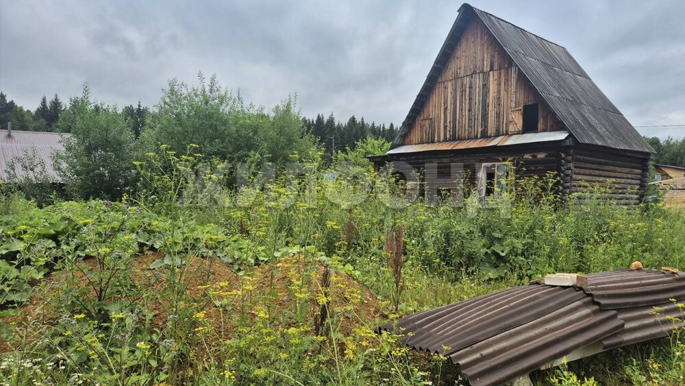 г. Нижний Тагил, 1-я (СТ Дружба) (городской округ Нижний Тагил) - фото сада (4)
