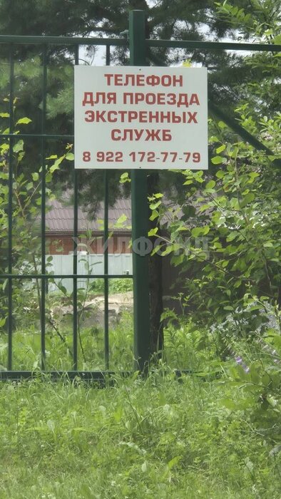 г. Нижний Тагил, 1-я (СТ Дружба) (городской округ Нижний Тагил) - фото сада (6)