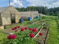 Продажа садового участка: д. Марамзина, СНТ 