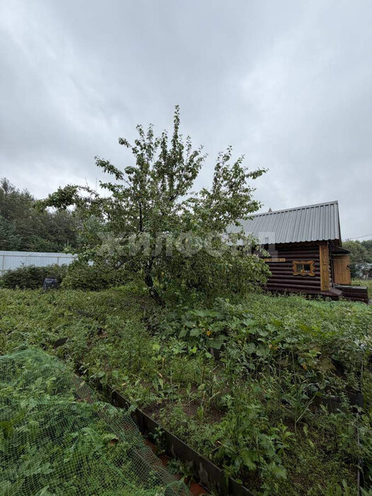 г. Нижний Тагил, ул. Заозерная (городской округ Нижний Тагил) - фото дома (9)