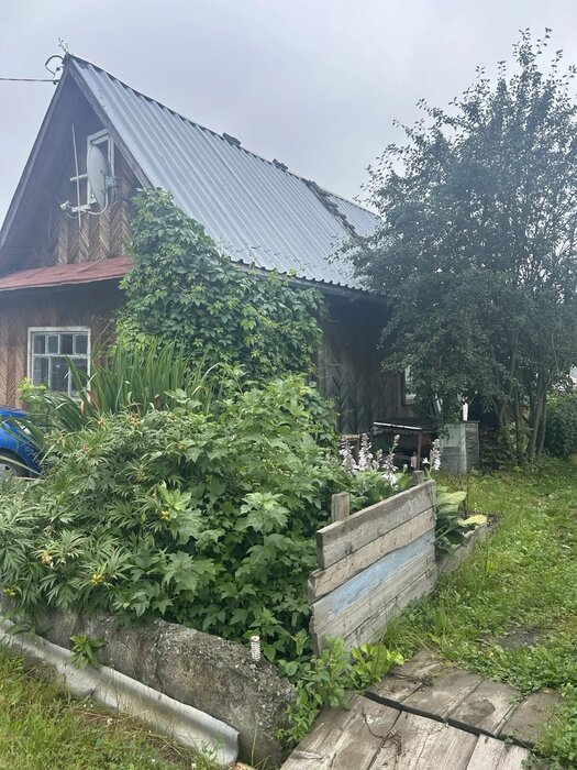 г. Первоуральск, СНТ 62 , уч. - (городской округ Первоуральск) - фото сада (2)