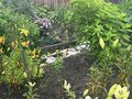 Продажа садового участка: г. Первоуральск, СНТ 62 , уч. - (городской округ Первоуральск) - Фото 3