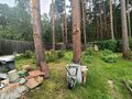Продажа садового участка: Екатеринбург, к/с Росинка, уч. 7 (Технопарк) - Фото 11