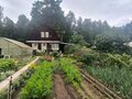 Продажа садового участка: Екатеринбург, к/с Росинка, уч. 7 (Технопарк) - Фото 1