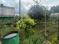 Продажа садового участка: Екатеринбург, к/с Росинка, уч. 7 (Технопарк) - Фото 3