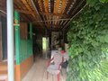 Продажа садового участка: Екатеринбург, к/с Росинка, уч. 7 (Технопарк) - Фото 4