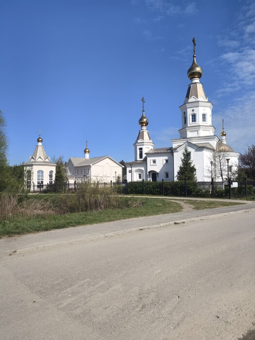 с. Балтым, ул. Октябрьская, 57 (городской округ Верхняя Пышма) - фото земельного участка (9)
