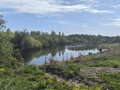 Продажа земельного участка: с. Балтым, ул. Октябрьская, 57 (городской округ Верхняя Пышма) - Фото 7
