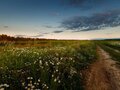 Продажа земельного участка: д. Златогорова, ул. Садовая, 17 (городской округ Белоярский) - Фото 2