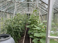 Продажа дома: п. Монетный, ул. Сосновая, 14 (городской округ Березовский) - Фото 4