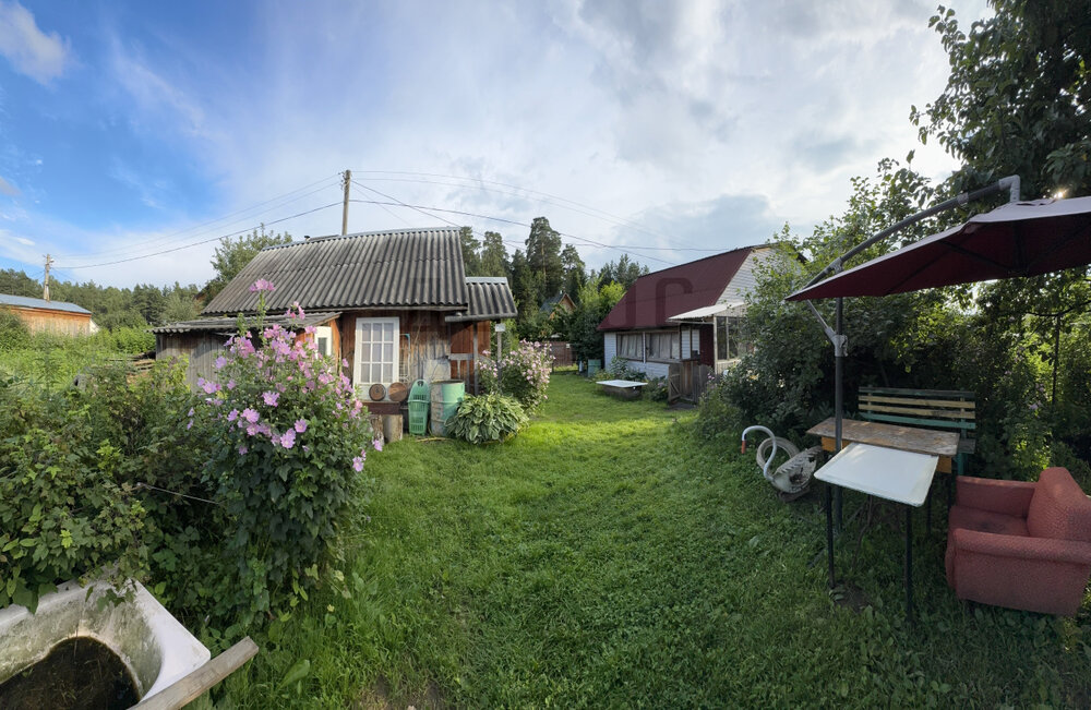 Екатеринбург, тер. СНТ. Кедр Свердловскторф, ул. Снт кедр - фото сада (8)