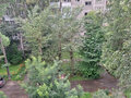 Продажа квартиры: Екатеринбург, ул. Посадская, 38 (Юго-Западный) - Фото 13