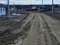 Продажа садового участка: г. Верхняя Пышма, Снт Черемушки -5 (городской округ Верхняя Пышма) - Фото 4