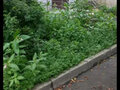 Продажа квартиры: Екатеринбург, ул. Трактористов, 17 (Автовокзал) - Фото 14