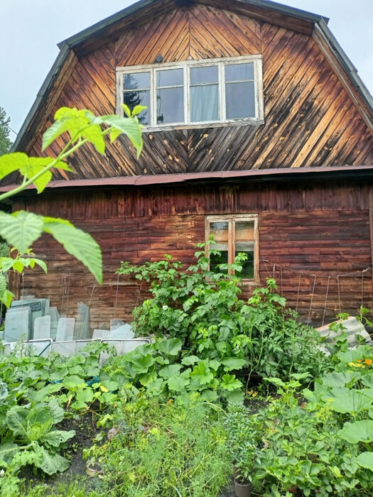 Екатеринбург, Серебрянный родник, уч. 79 (Карасьеозерск) - фото сада (1)