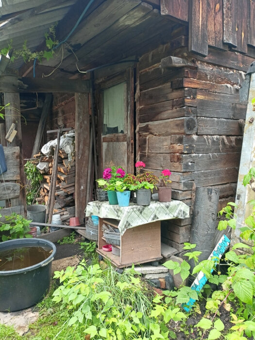 Екатеринбург, Серебрянный родник, ул. тер с/т Серебрянный родник уч, 79 (Карасьеозерск) - фото сада (11)