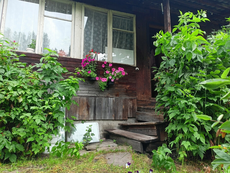 Екатеринбург, Серебрянный родник, ул. тер с/т Серебрянный родник уч, 79 (Карасьеозерск) - фото сада (13)