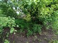Продажа садового участка: п. Бобровский, СНТ Отдых, ул. Дёмина, 37 (городской округ Сысертский) - Фото 2