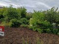 Продажа садового участка: п. Бобровский, СНТ Отдых, ул. Дёмина, 37 (городской округ Сысертский) - Фото 7