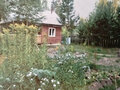 Продажа дома: Екатеринбург, ул. Березовая, 10 - Фото 6