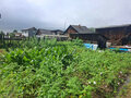 Продажа дома: п. Зюзельский, ул. Мира, 29 (городской округ Полевской) - Фото 10