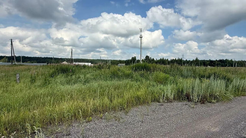 с. Курьи, ул. Восточная, 5 (городской округ  Сухой Лог) - фото земельного участка (3)