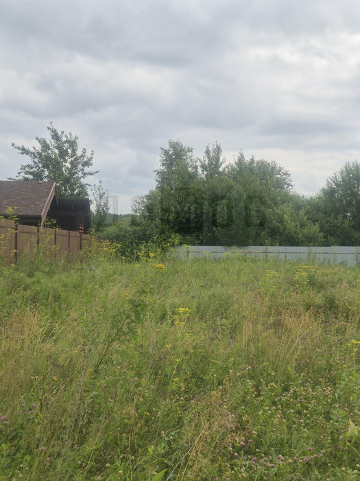 к.п. Алые паруса, ул. Жемчужная, 77 (городской округ Белоярский) - фото земельного участка (10)