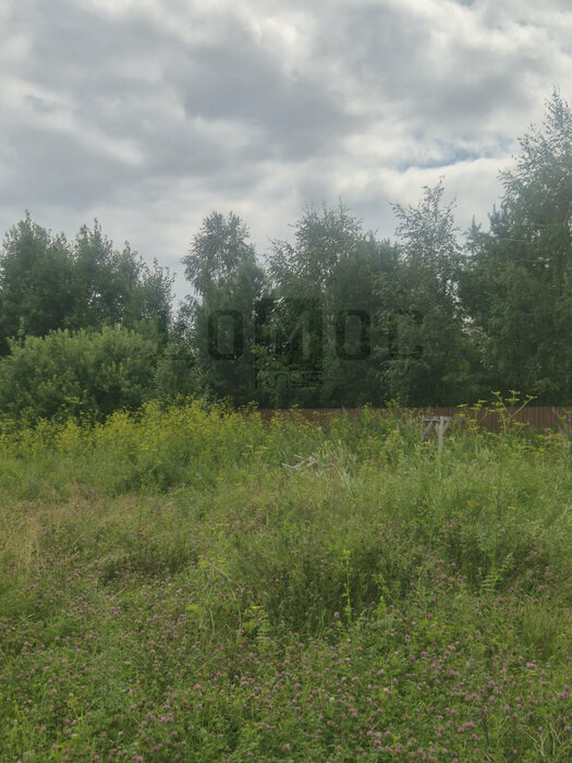 к.п. Алые паруса, ул. Жемчужная, 77 (городской округ Белоярский) - фото земельного участка (8)