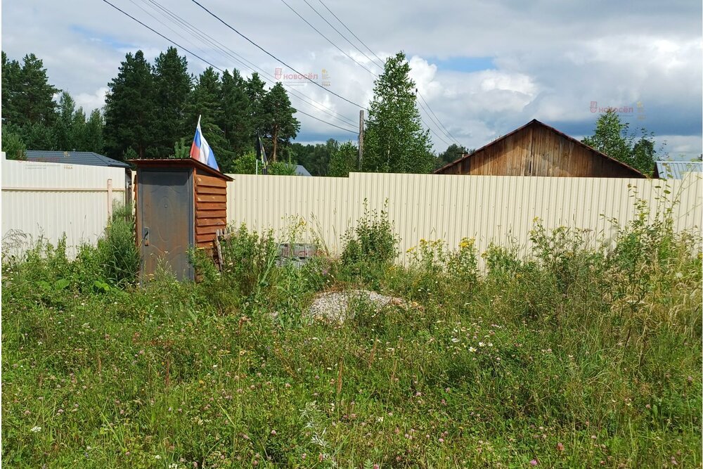 п. Становая, ул. Полевая (городской округ Березовский) - фото земельного участка (6)