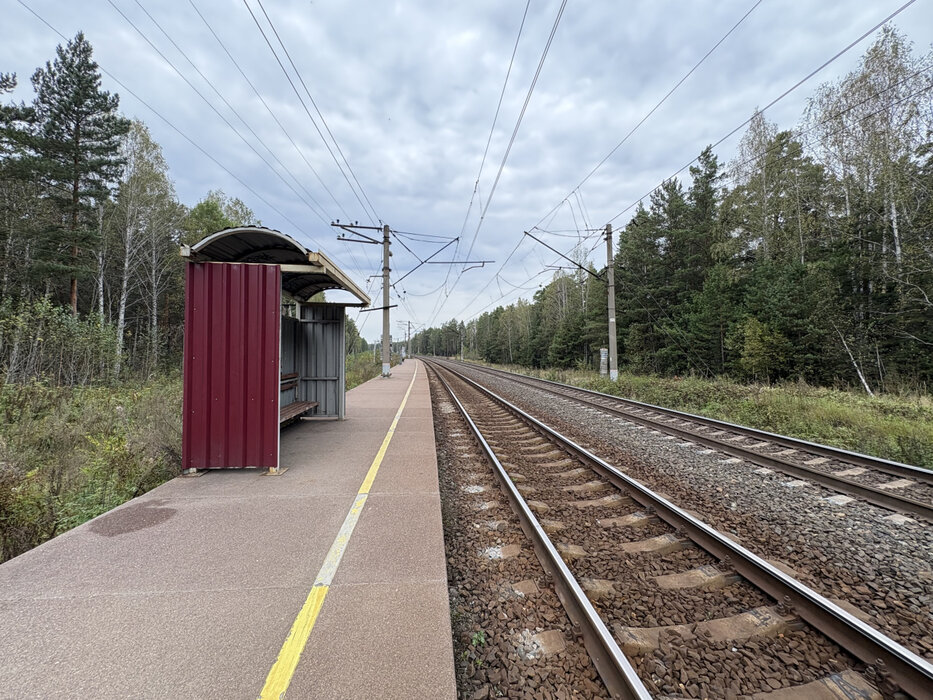 СНТ Строитель, к/с  , ул. 2-я, 22 (городской округ Белоярский) - фото сада (3)