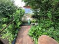 Продажа садового участка: Екатеринбург, СНТ Вагонник (Старая Сортировка) - Фото 9