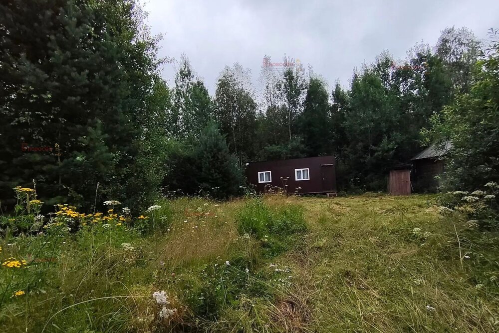 п. Исеть, СНТ Огонек, уч. 3 (городской округ Верхняя Пышма) - фото сада (3)