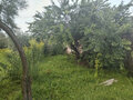 Продажа таунхауса: поселок городского типа Белоярский, ул. Ключевская (городской округ Белоярский) - Фото 7