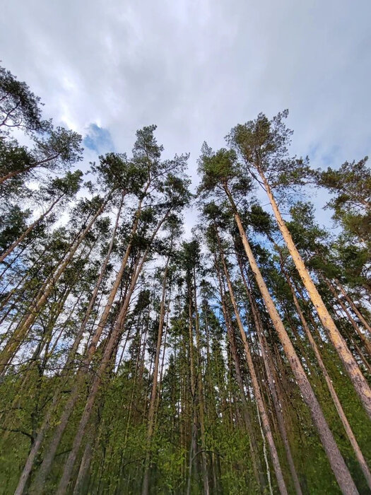 Екатеринбург, ул. Артиллеристов, 5к10 (Шарташ) - фото дома (14)