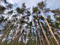 Продажа дома: Екатеринбург, ул. Артиллеристов, 5к10 (Шарташ) - Фото 14