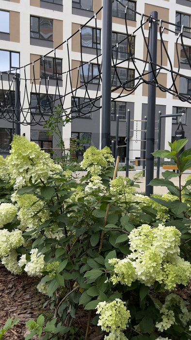 Екатеринбург, ул. Блюхера, 26 (Втузгородок) - фото квартиры (2)