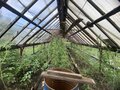 Продажа садового участка: г. Ревда, СОТ