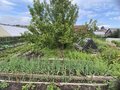Продажа садового участка: г. Ревда, СОТ