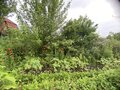 Продажа садового участка: г. Ревда, СОТ
