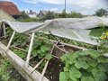 Продажа садового участка: г. Ревда, СОТ