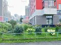 Аренда квартиры: Екатеринбург, ул. Шаманова, 48 (Академический) - Фото 3