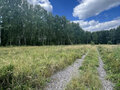 Продажа земельного участка: п. Мраморское, ул. Березовая, 13 (городской округ Полевской) - Фото 3