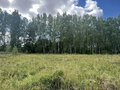 Продажа земельного участка: п. Мраморское, ул. Березовая, 13 (городской округ Полевской) - Фото 6