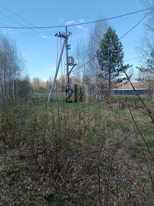 п. Белоярская Застава, ул. проезд Калиновый, 6 (городской округ Белоярский) - фото земельного участка (8)