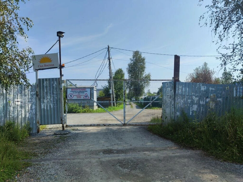 Екатеринбург, снт. Восход ДСК, уч. 78 - фото сада (2)